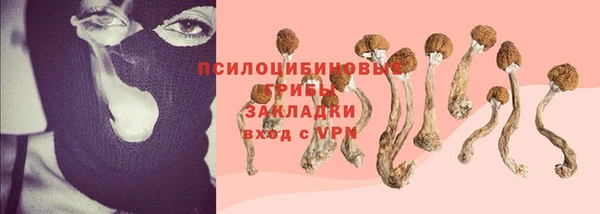 дурь Наволоки