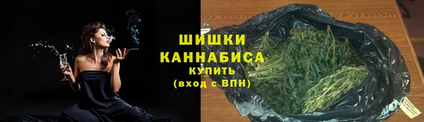 тгк Михайлов