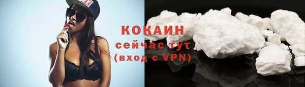 тгк Михайлов