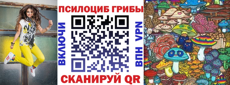 цены наркотик Боровичи Псилоцибиновые грибы мицелий